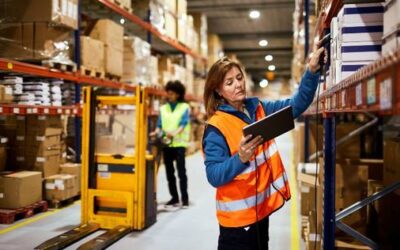 Why is freight management considered the lifeblood of supply chain operations?